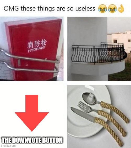 Useless Things | THE DOWNVOTE BUTTON | image tagged in useless things | made w/ Imgflip meme maker