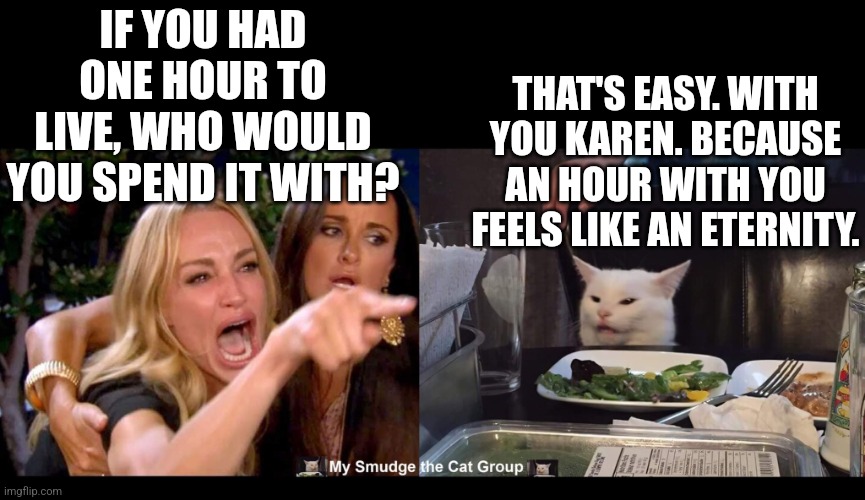 IF YOU HAD ONE HOUR TO LIVE, WHO WOULD YOU SPEND IT WITH? THAT'S EASY. WITH YOU KAREN. BECAUSE AN HOUR WITH YOU FEELS LIKE AN ETERNITY. | image tagged in smudge the cat,woman yelling at cat | made w/ Imgflip meme maker