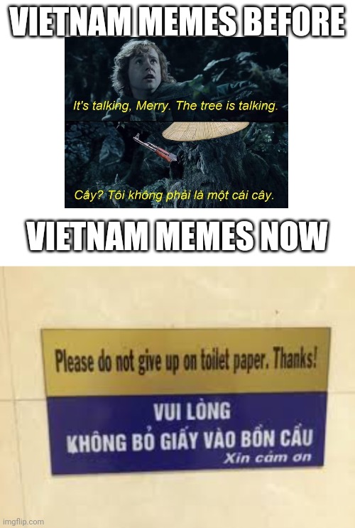 I am a Vietnamese and that means "dont put toilet paper into the toilet" | VIETNAM MEMES BEFORE; VIETNAM MEMES NOW | image tagged in blank white template,vietnam | made w/ Imgflip meme maker