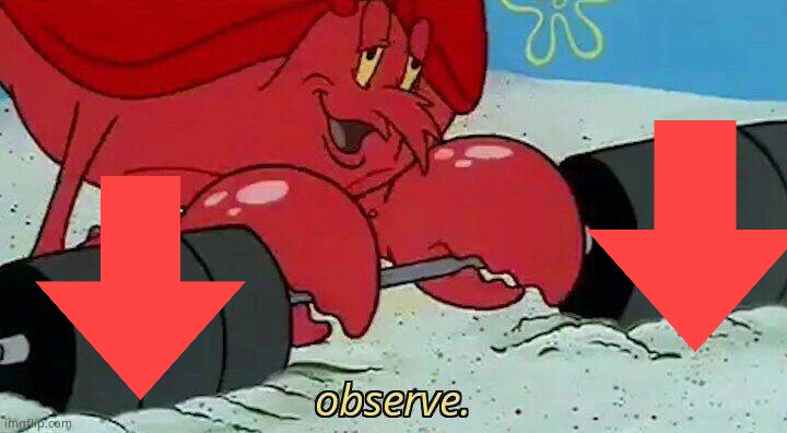 Observe | image tagged in observe | made w/ Imgflip meme maker