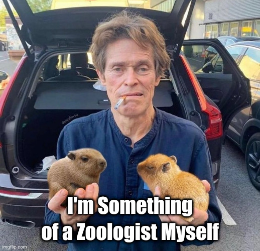 Willem Dafoe dealing capybaras from the back of the van | I'm Something of a Zoologist Myself | image tagged in i'm something of a zoologist myself | made w/ Imgflip meme maker