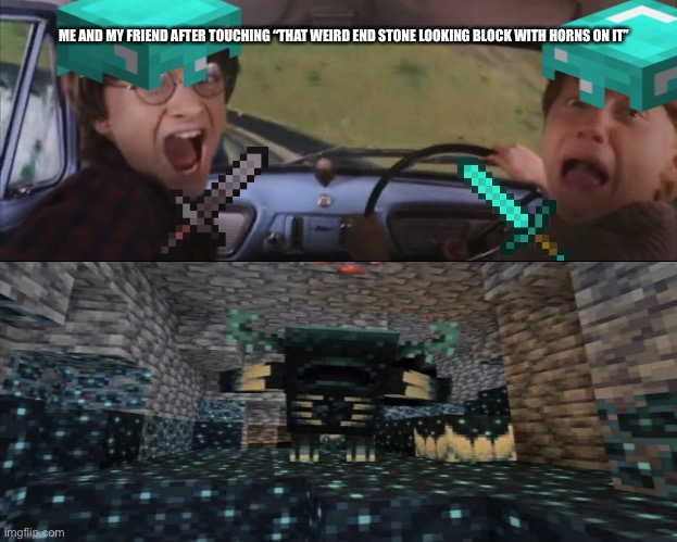 It’s terrifying | ME AND MY FRIEND AFTER TOUCHING “THAT WEIRD END STONE LOOKING BLOCK WITH HORNS ON IT” | image tagged in mincraft,gaming,multiplayer | made w/ Imgflip meme maker
