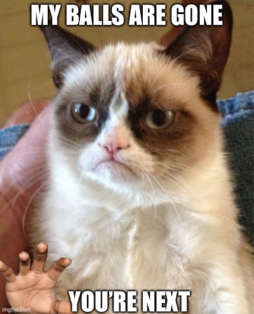 Grumpy Cat Meme | MY BALLS ARE GONE; YOU’RE NEXT | image tagged in memes,grumpy cat | made w/ Imgflip meme maker