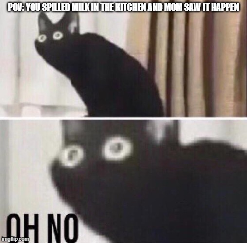 Oh no cat | POV: YOU SPILLED MILK IN THE KITCHEN AND MOM SAW IT HAPPEN | image tagged in oh no cat | made w/ Imgflip meme maker