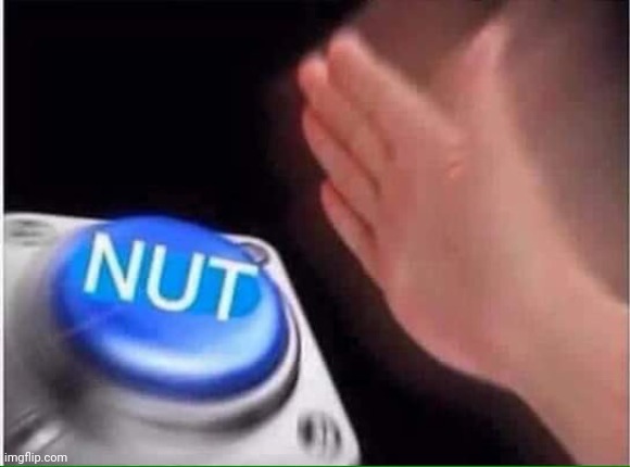 Nut button | image tagged in nut button | made w/ Imgflip meme maker