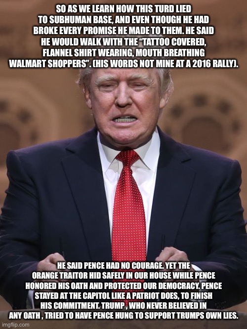 Donald Trump | SO AS WE LEARN HOW THIS TURD LIED TO SUBHUMAN BASE, AND EVEN THOUGH HE HAD BROKE EVERY PROMISE HE MADE TO THEM. HE SAID HE WOULD WALK WITH THE “TATTOO COVERED, FLANNEL SHIRT WEARING, MOUTH BREATHING WALMART SHOPPERS”. (HIS WORDS NOT MINE AT A 2016 RALLY). HE SAID PENCE HAD NO COURAGE. YET THE ORANGE TRAITOR HID SAFELY IN OUR HOUSE WHILE PENCE HONORED HIS OATH AND PROTECTED OUR DEMOCRACY. PENCE STAYED AT THE CAPITOL LIKE A PATRIOT DOES, TO FINISH HIS COMMITMENT. TRUMP , WHO NEVER BELIEVED IN ANY OATH , TRIED TO HAVE PENCE HUNG TO SUPPORT TRUMPS OWN LIES. | image tagged in donald trump | made w/ Imgflip meme maker