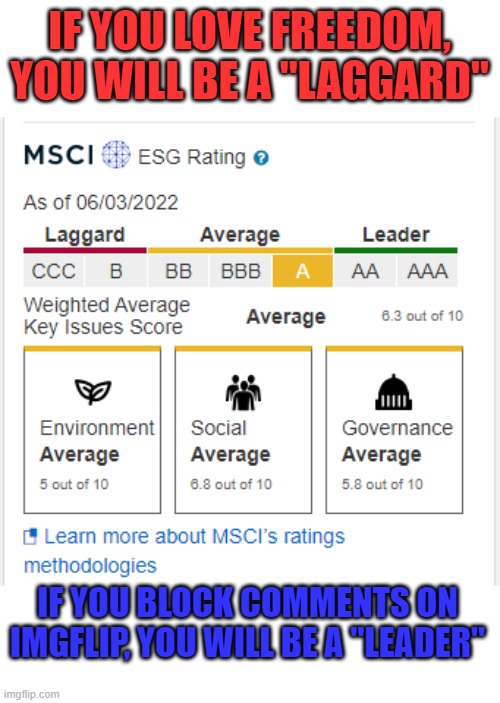 Coming to a New World Order near you! The Great Reset is here! Now, aren't you happier? | IF YOU LOVE FREEDOM, YOU WILL BE A "LAGGARD"; IF YOU BLOCK COMMENTS ON IMGFLIP, YOU WILL BE A "LEADER" | image tagged in social score | made w/ Imgflip meme maker