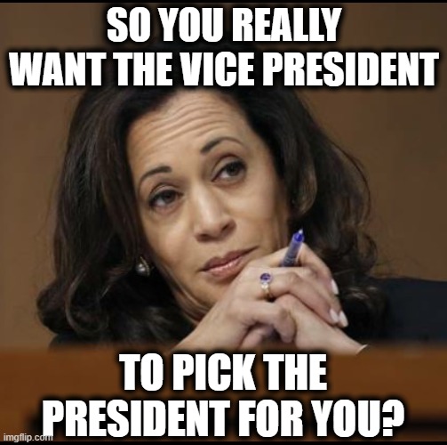 He tried to cheat the whole nation | SO YOU REALLY WANT THE VICE PRESIDENT; TO PICK THE PRESIDENT FOR YOU? | image tagged in kamala harris,memes,jan 6,treason,politics,lock him up | made w/ Imgflip meme maker