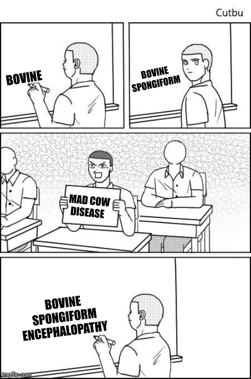 Cheating in Class | BOVINE SPONGIFORM; BOVINE; MAD COW DISEASE; BOVINE SPONGIFORM ENCEPHALOPATHY | image tagged in cheating in class | made w/ Imgflip meme maker