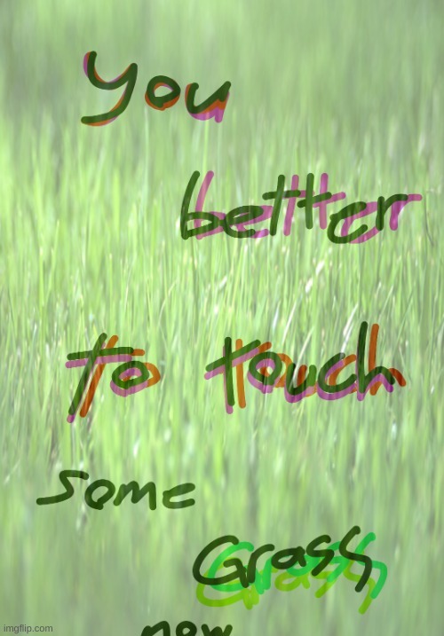 you better touch grass now | image tagged in you better touch grass now | made w/ Imgflip meme maker