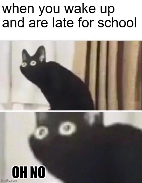Pls look at the tags | when you wake up and are late for school; OH NO | image tagged in oh no black cat,never gonna give you up,never gonna let you down,never gonna run around,and desert you | made w/ Imgflip meme maker