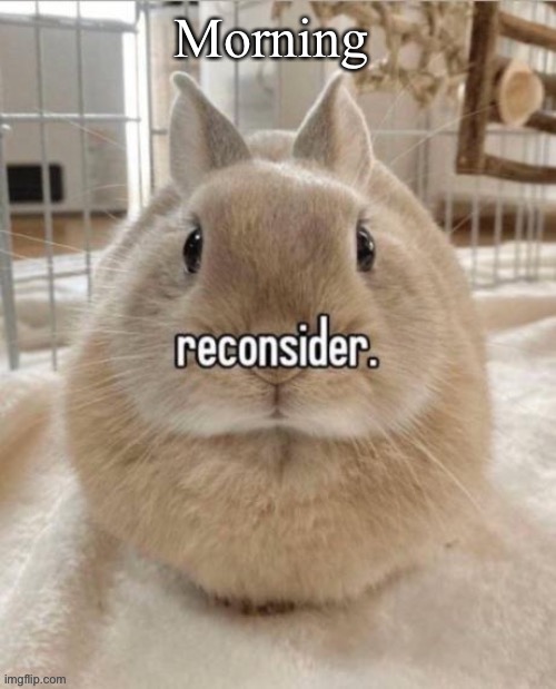 reconsider | Morning | image tagged in reconsider | made w/ Imgflip meme maker