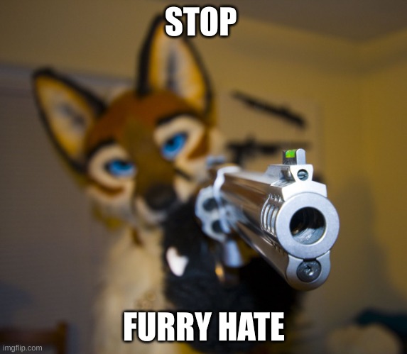 Furry with gun | STOP; FURRY HATE | image tagged in furry with gun | made w/ Imgflip meme maker