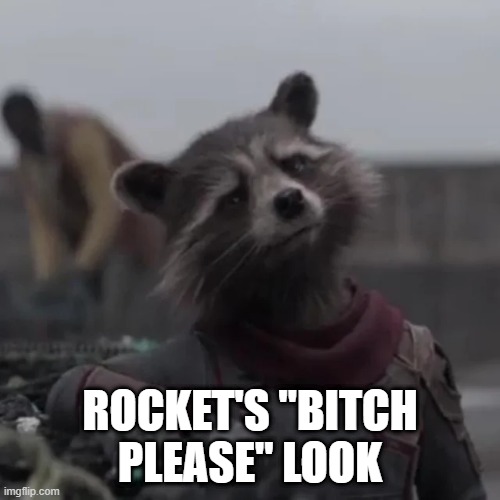The Look | ROCKET'S "BITCH PLEASE" LOOK | image tagged in rocket raccoon | made w/ Imgflip meme maker