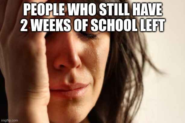 First World Problems Meme | PEOPLE WHO STILL HAVE 2 WEEKS OF SCHOOL LEFT | image tagged in memes,first world problems | made w/ Imgflip meme maker