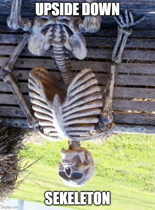 Waiting Skeleton Meme | UPSIDE DOWN; SEKELETON | image tagged in memes,waiting skeleton | made w/ Imgflip meme maker