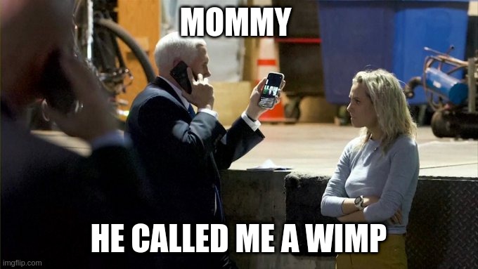 wimp | MOMMY; HE CALLED ME A WIMP | image tagged in mike pence | made w/ Imgflip meme maker
