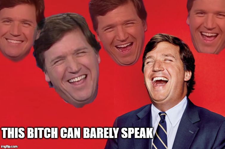 Tucker laughs at libs | THIS BITCH CAN BARELY SPEAK | image tagged in tucker laughs at libs | made w/ Imgflip meme maker