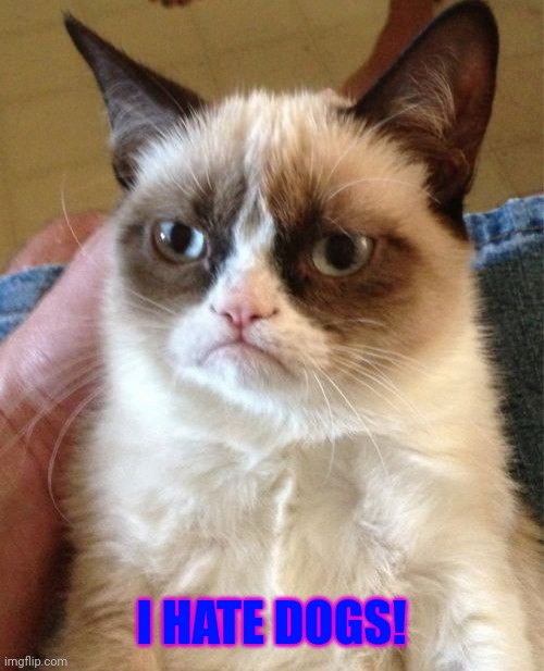 Grumpy Cat Meme | I HATE DOGS! | image tagged in memes,grumpy cat | made w/ Imgflip meme maker