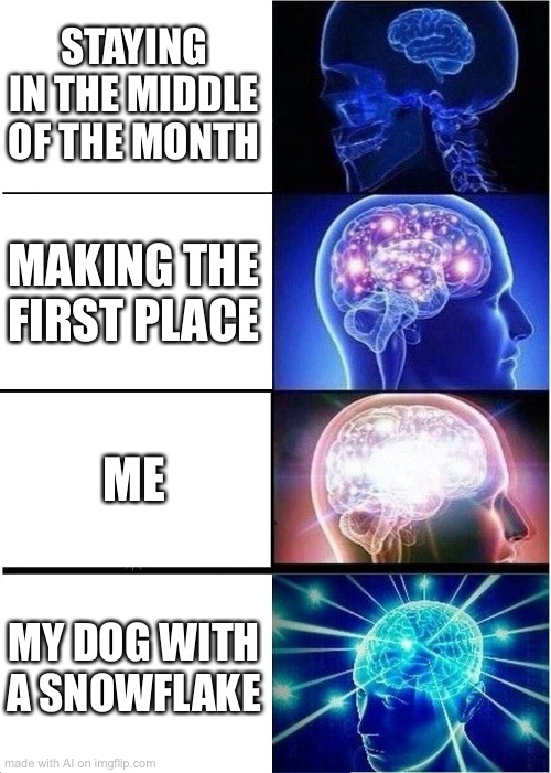 bruh what does this even mean | STAYING IN THE MIDDLE OF THE MONTH; MAKING THE FIRST PLACE; ME; MY DOG WITH A SNOWFLAKE | image tagged in memes,expanding brain,ai meme | made w/ Imgflip meme maker