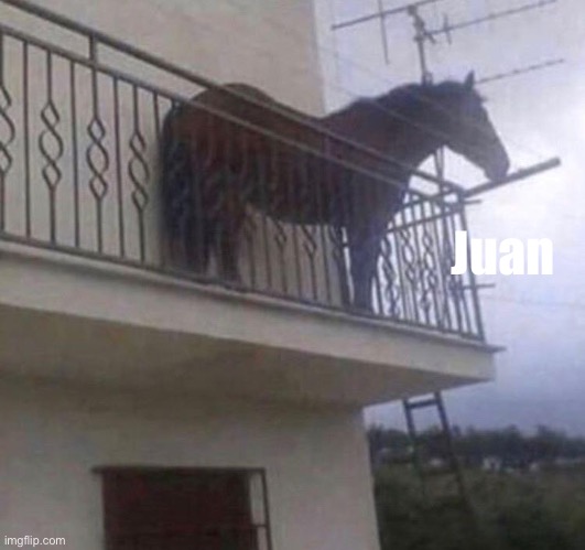 Juan | Juan | image tagged in juan | made w/ Imgflip meme maker