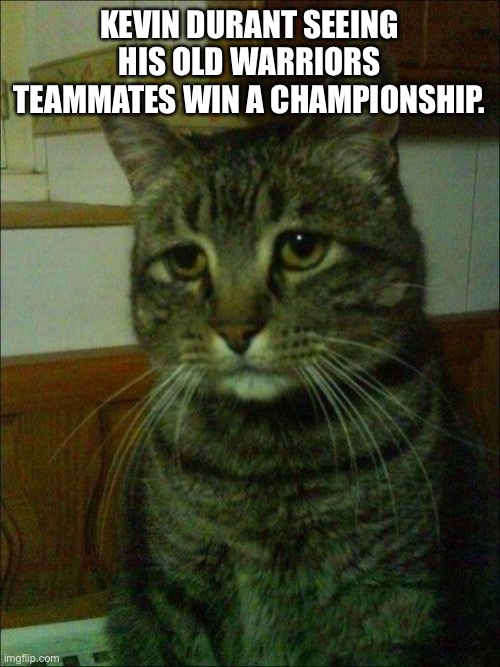 Congrats to Warriors btw. | KEVIN DURANT SEEING HIS OLD WARRIORS TEAMMATES WIN A CHAMPIONSHIP. | image tagged in memes,depressed cat,kevin durant,golden state warriors,nba finals | made w/ Imgflip meme maker