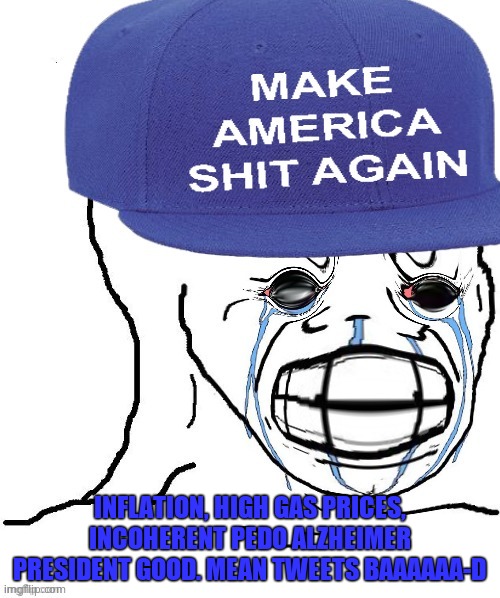 mad wojak | INFLATION, HIGH GAS PRICES, INCOHERENT PEDO ALZHEIMER PRESIDENT GOOD. MEAN TWEETS BAAAAAA-D | image tagged in mad wojak | made w/ Imgflip meme maker