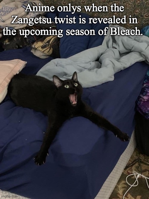  Anime onlys when the Zangetsu twist is revealed in the upcoming season of Bleach. | image tagged in bleach,anime,anime meme,manga | made w/ Imgflip meme maker