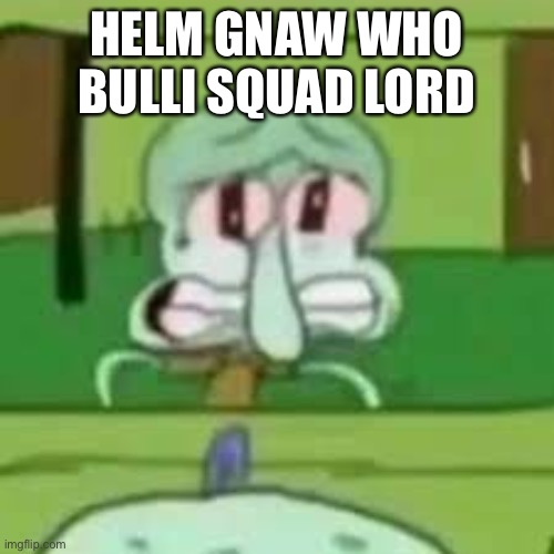 squidward crying | HELM GNAW WHO BULLI SQUAD LORD | image tagged in squidward crying | made w/ Imgflip meme maker