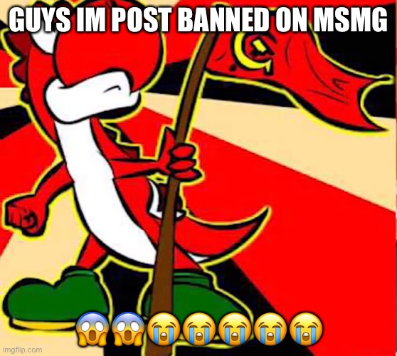 Noooo | GUYS IM POST BANNED ON MSMG; 😱😱😭😭😭😭😭 | image tagged in communist yoshi | made w/ Imgflip meme maker