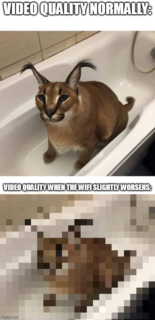 VIDEO QUALITY NORMALLY:; VIDEO QUALITY WHEN THE WIFI SLIGHTLY WORSENS: | image tagged in floppa | made w/ Imgflip meme maker