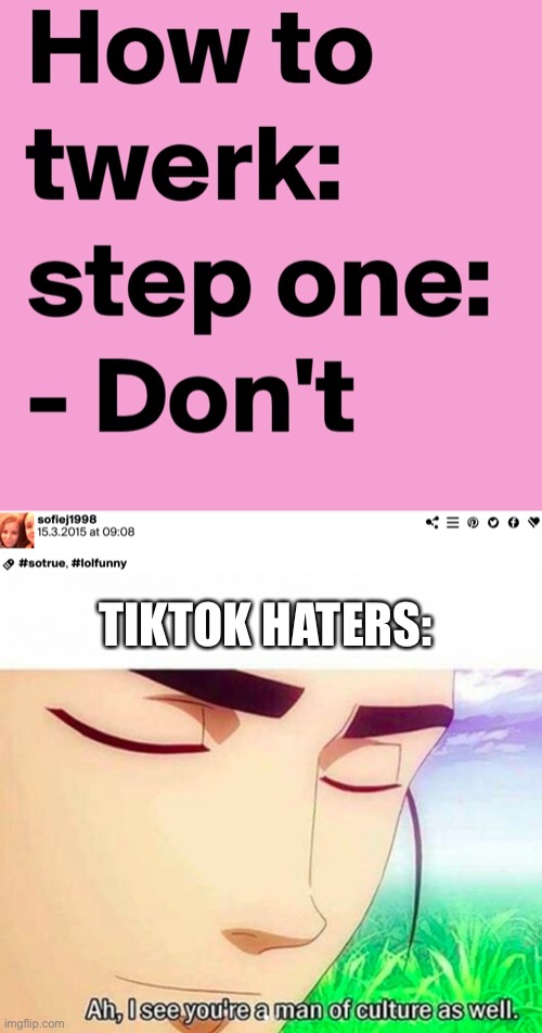 Sophie nice | TIKTOK HATERS: | image tagged in ah i see you are a man of culture as well,tiktok,step one dont | made w/ Imgflip meme maker