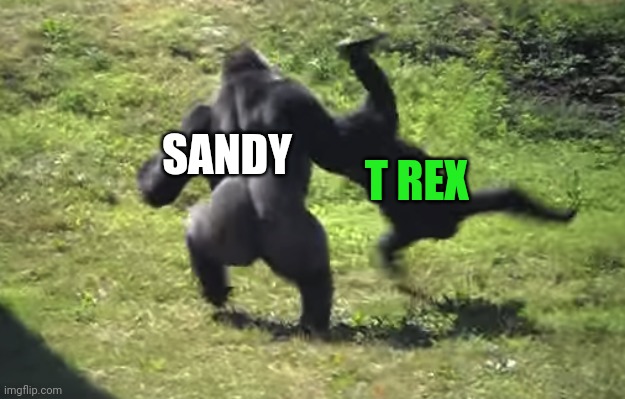Sandy vs T Rex but their monkes | SANDY T REX | image tagged in gorilla throwing another gorilla | made w/ Imgflip meme maker