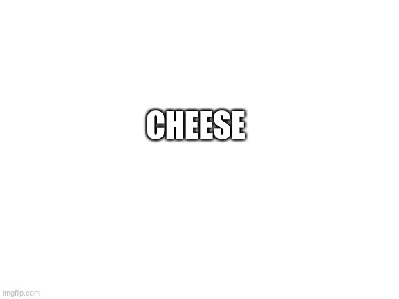 cheese | CHEESE | image tagged in blank white template,cheese,memes,funny | made w/ Imgflip meme maker
