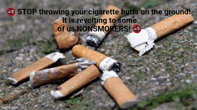 🚭 STOP throwing your cigarette butts on the ground!
 It is revolting to some
 of us NONSMOKERS! 🚭 | made w/ Imgflip meme maker
