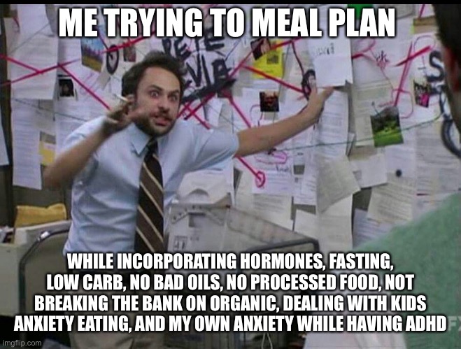 Trying to explain | ME TRYING TO MEAL PLAN; WHILE INCORPORATING HORMONES, FASTING, LOW CARB, NO BAD OILS, NO PROCESSED FOOD, NOT BREAKING THE BANK ON ORGANIC, DEALING WITH KIDS ANXIETY EATING, AND MY OWN ANXIETY WHILE HAVING ADHD | image tagged in trying to explain | made w/ Imgflip meme maker