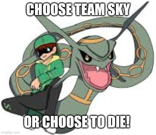 Team Sky | CHOOSE TEAM SKY OR CHOOSE TO DIE! | image tagged in team sky,pokemon,sky,flying type pokemon,flying pokemon | made w/ Imgflip meme maker
