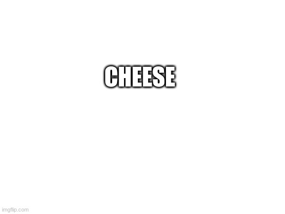 cheese | CHEESE | image tagged in blank white template,cheese | made w/ Imgflip meme maker