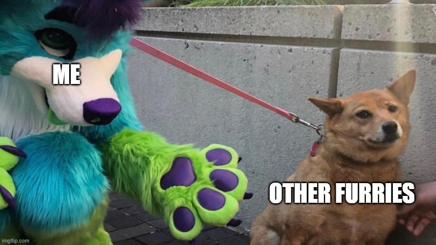 Furry scaring dog | ME; OTHER FURRIES | image tagged in furry scaring dog | made w/ Imgflip meme maker