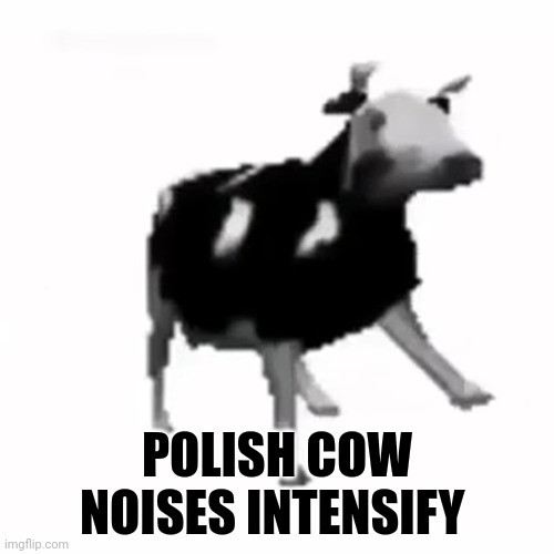 polish cow | POLISH COW NOISES INTENSIFY | image tagged in polish cow | made w/ Imgflip meme maker