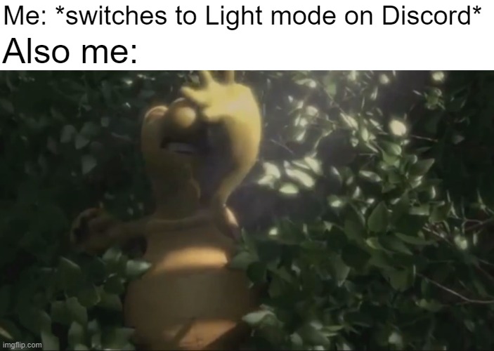 I'm blinded by the lights | Also me:; Me: *switches to Light mode on Discord* | image tagged in discord,light mode,over the hedge,too bright,be like,verne | made w/ Imgflip meme maker