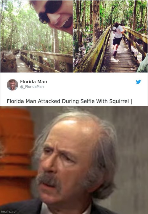 During a selfie with a squirrel | image tagged in grandpa joe wait what,news,squirrel,florida man,memes,selfie | made w/ Imgflip meme maker