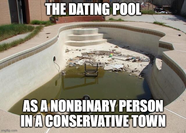 The online dating pool for nonbinary folx in conservative towns | THE DATING POOL; AS A NONBINARY PERSON IN A CONSERVATIVE TOWN | image tagged in small dating pool | made w/ Imgflip meme maker