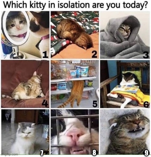 8; 7; 9 | made w/ Imgflip meme maker