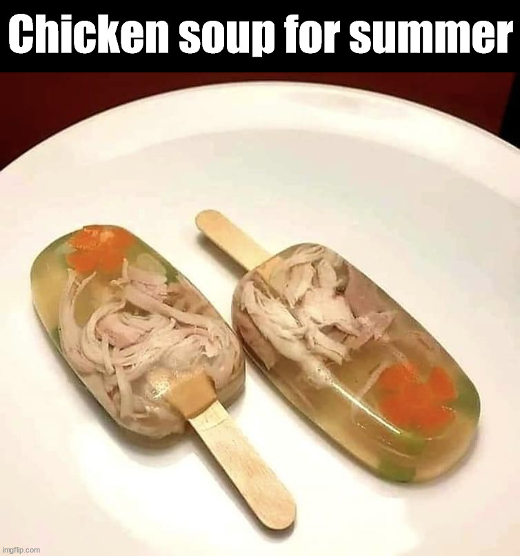 Chicken soup for summer | image tagged in gross | made w/ Imgflip meme maker