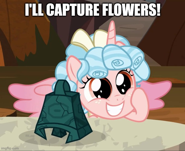 I'LL CAPTURE FLOWERS! | made w/ Imgflip meme maker