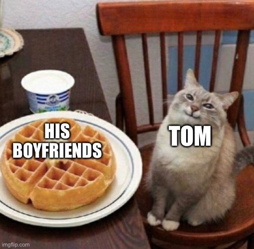 Kitty happy with their waffle | HIS BOYFRIENDS; TOM | image tagged in kitty happy with their waffle | made w/ Imgflip meme maker