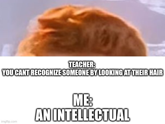 me an intellectual | TEACHER: 
YOU CANT RECOGNIZE SOMEONE BY LOOKING AT THEIR HAIR; ME:
AN INTELLECTUAL | image tagged in blank white template | made w/ Imgflip meme maker