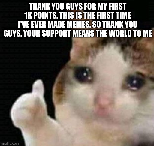 sad thumbs up cat | THANK YOU GUYS FOR MY FIRST 1K POINTS, THIS IS THE FIRST TIME I'VE EVER MADE MEMES, SO THANK YOU GUYS, YOUR SUPPORT MEANS THE WORLD TO ME | image tagged in sad thumbs up cat | made w/ Imgflip meme maker