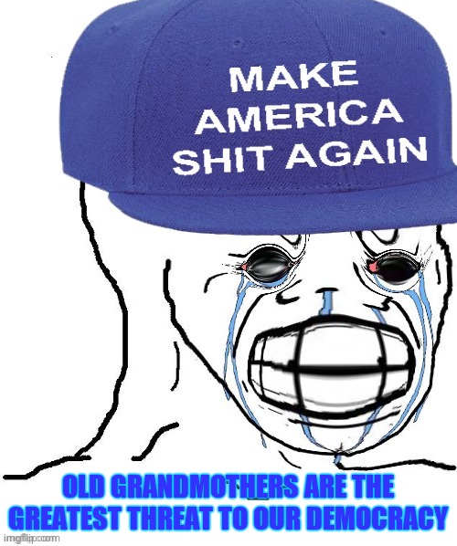 mad wojak | OLD GRANDMOTHERS ARE THE GREATEST THREAT TO OUR DEMOCRACY | image tagged in mad wojak | made w/ Imgflip meme maker